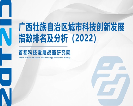 91男人的机巴夺入女人的逼的视频【成果发布】广西壮族自治区城市科技创新发展指数排名及分析（2022）